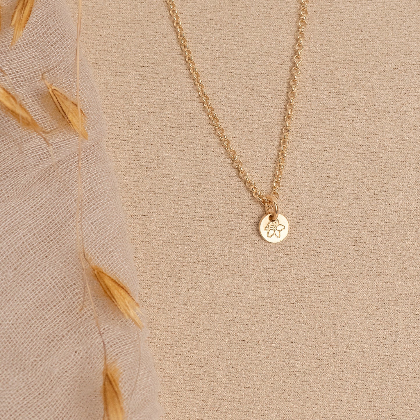 Conjunto Blomme Asili