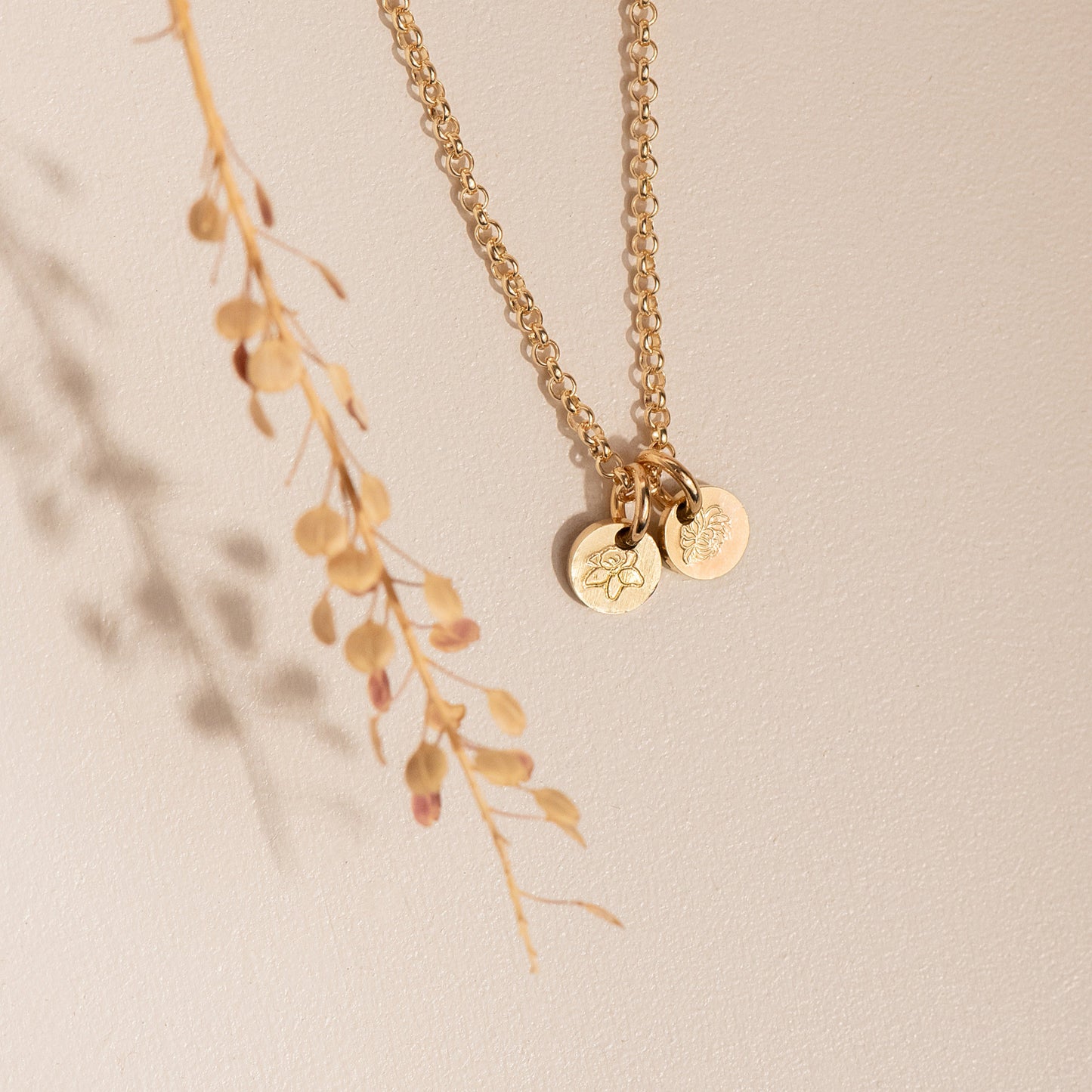 Conjunto Blomme Asili