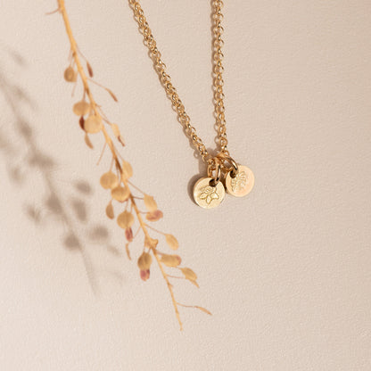 Conjunto Blomme Asili