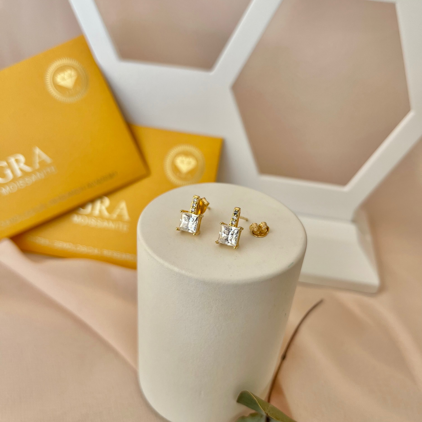 Brinco Moissanite Princess Cut