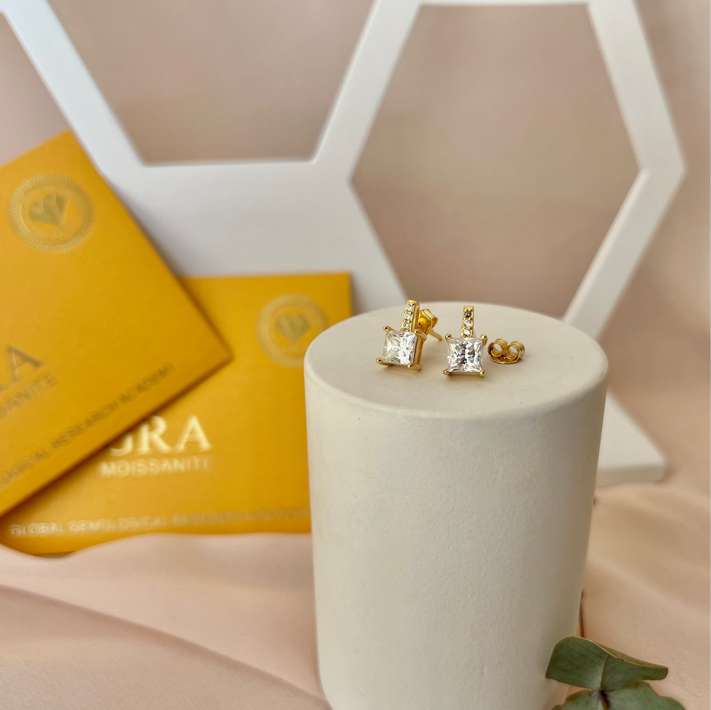 Brinco Moissanite Princess Cut